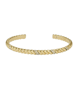 Fossil 04169710