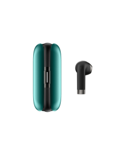 FitbudsX FB202201Q03