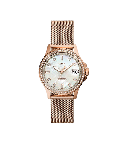 cababae1e4442da141b28d1b0bacf656