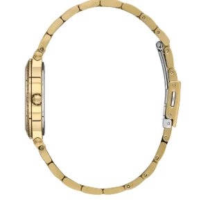BG.1.10655-3_2