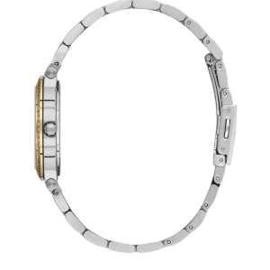BG.1.10655-4_2